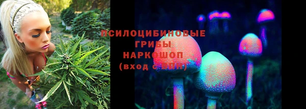 трава Белокуриха