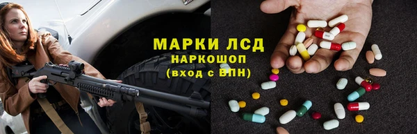 трава Белокуриха