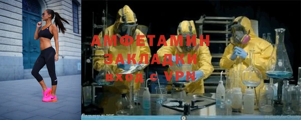 трава Белокуриха