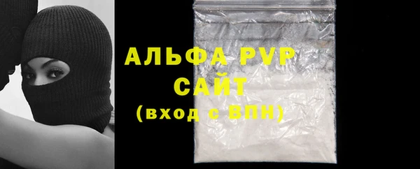 трава Белокуриха