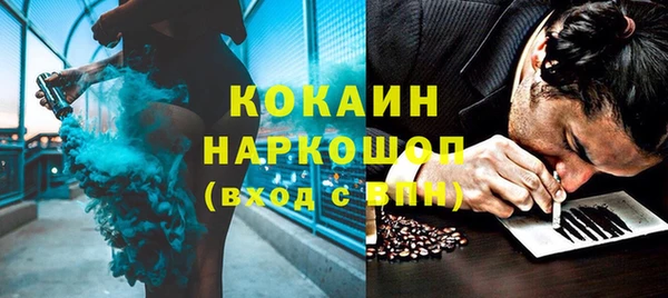 трава Белокуриха