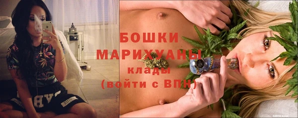 трава Белокуриха