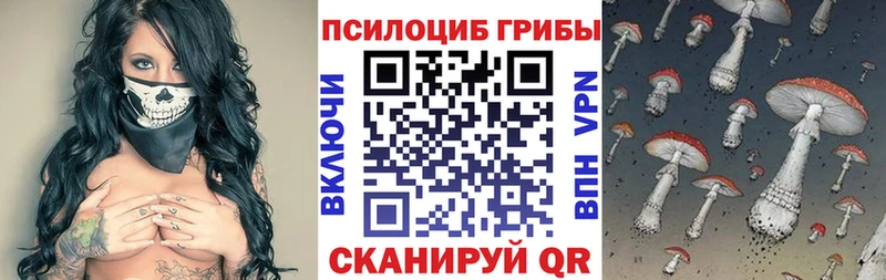 Купить  Олёкминск  Галлюциногенные грибы Psilocybine cubensis 
